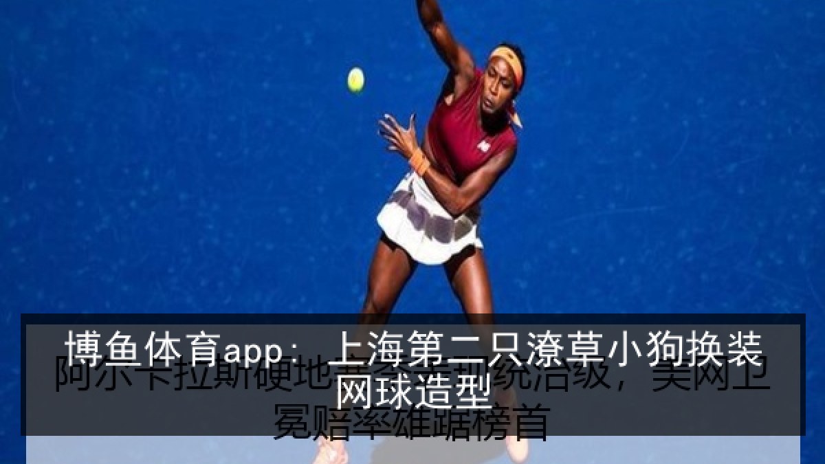博鱼体育app: 上海第二只潦草小狗换装网球造型